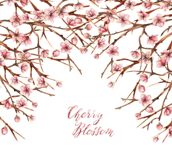 Cherry Blossom Watercolor Tavaszi Illusztráció Kártya Számára Kézzel Készített Szirmok — Stock Fotó