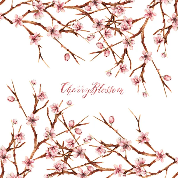 Cherry Blossom Watercolor Tavaszi Illusztráció Virágok Gallyak Rügyek Kártya Számára — Stock Fotó