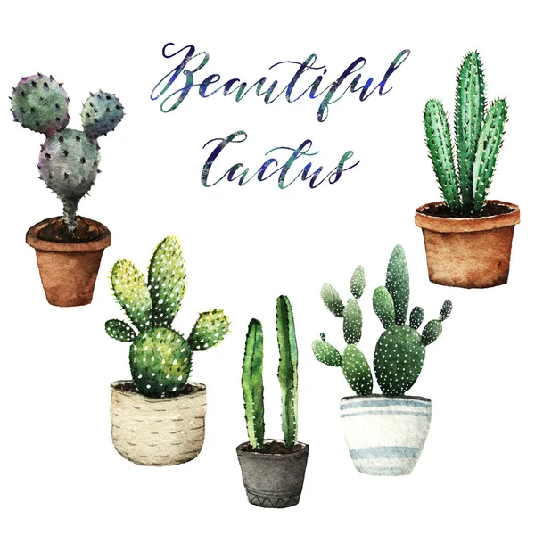 Akvarell Illusztráció Kaktusz Cserépben Meg Fehér Háttér Képeslap Számára Kézzel — Stock Fotó