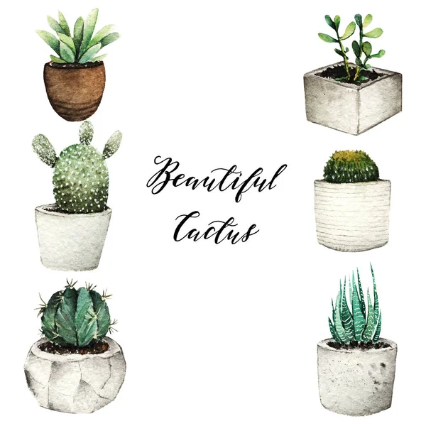 Illustration Aquarelle Cactus Pots Set Fond Blanc Fait Main Carte — Photo