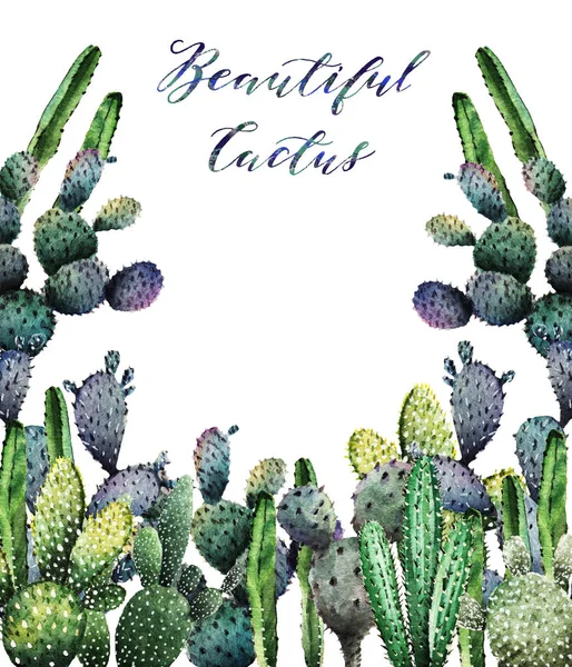 Illustration Aquarelle Cactus Fait Main Fond Blanc Carte Postale Pour — Photo