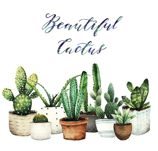 Watercolor illustration, cactus in pots, postcard for you, handmade, white background