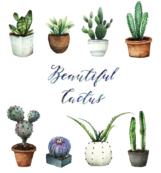 Watercolor Illustration Cactus Pots Set Postcard You Handmade White Background — Stock Photo, Image