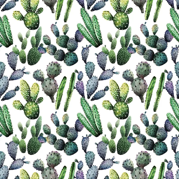 Ilustración Acuarela Cactus Hecho Mano Postal Para Usted Patrón Sin —  Fotos de Stock