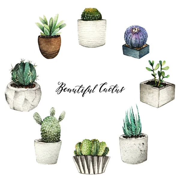 Cactus Pots Aquarelle Illustration Set Carte Postale Pour Vous Fond — Photo
