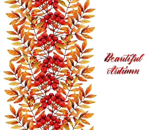 Ilustracja Akwarela Piękna Jesień Gałąź Popiołu Górskiego Jagody Liście Tło — Zdjęcie stockowe