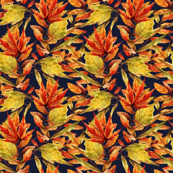 Vodní Barva Ilustrace Krásný Podzim Různé Podzimní Listy Pozadí Bílé — Stock fotografie
