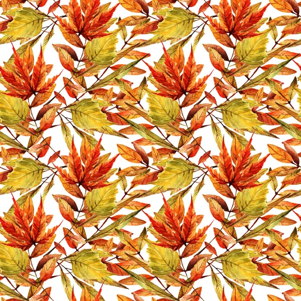 Ilustración Acuarela Hermoso Otoño Diferentes Hojas Otoño Fondo Blanco Postal —  Fotos de Stock