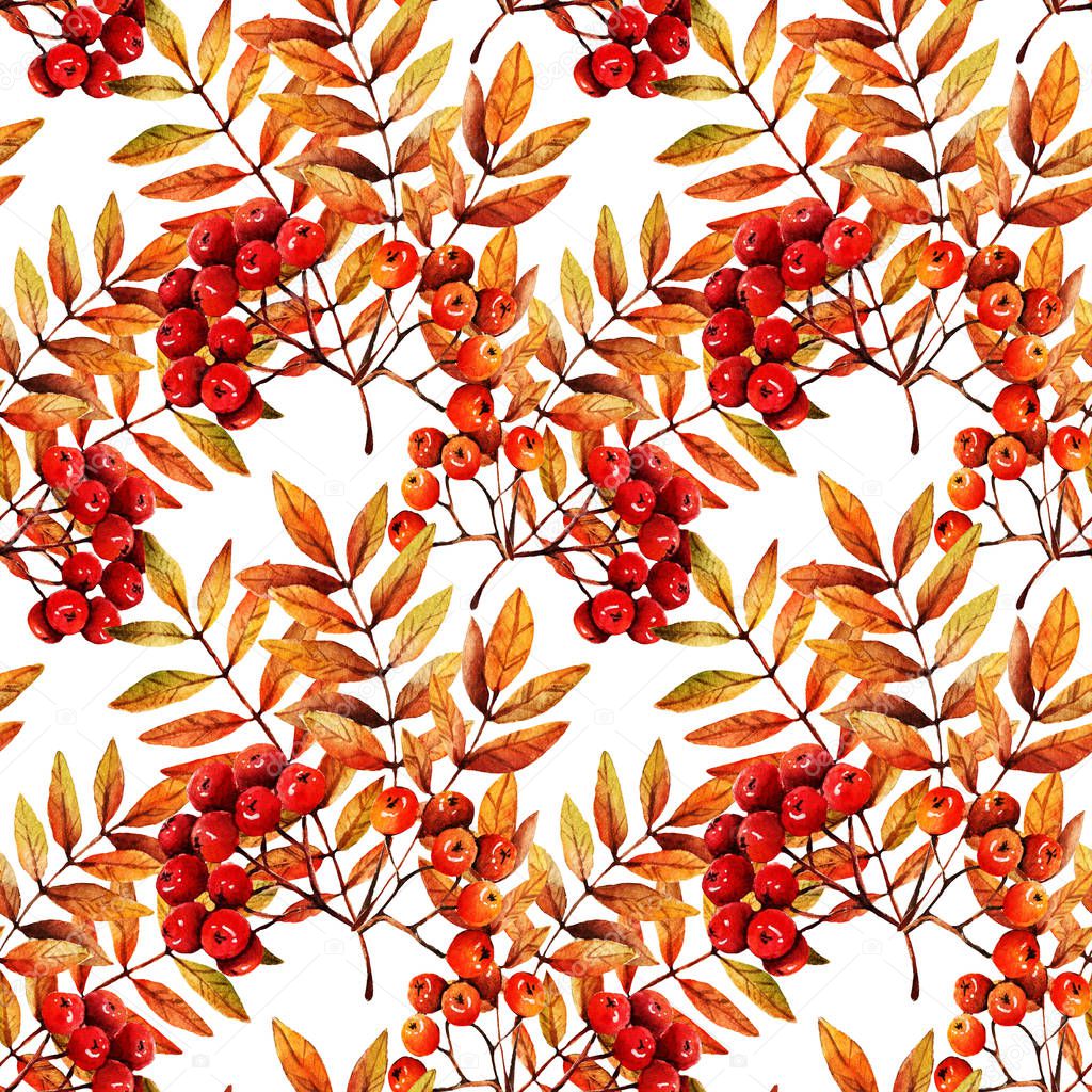 Watercolor illustration.Beautiful autumn, branch of mountain ash, berries and leaves. Background white. Postcard for you, handmade, set,seamless pattern,light background