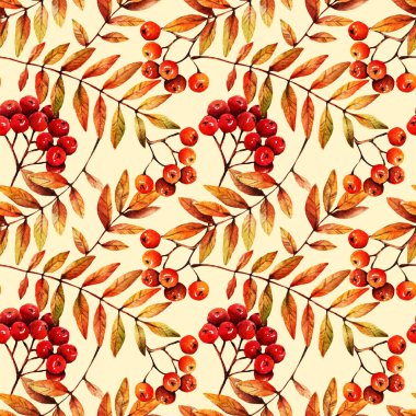 Güzel sonbahar. Suluboya illüstrasyon. dağ külü dalı. Sizin için kartpostal, set, el yapımı, sorunsuz desen, hafif arka plan