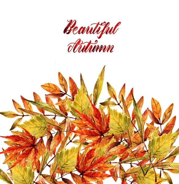 Aquarell Illustration Schöner Herbst Verschiedene Herbstblätter Hintergrund Weiß Handgemacht Gesetzt — Stockfoto