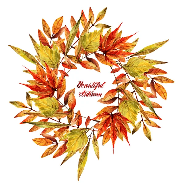 水彩插图 美丽的秋天 不同的秋叶 背景白色 手工制作 给你的明信片 — 图库照片