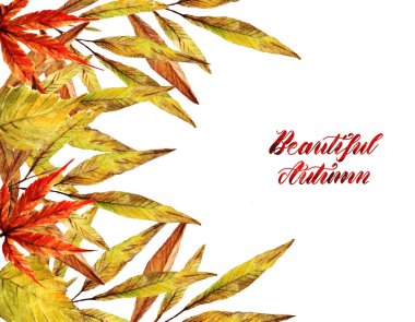 Suluboya illüstrasyon. Güzel sonbahar, farklı sonbahar yaprakları. Senin için kartpostal. Arka plan beyaz, set, el yapımı