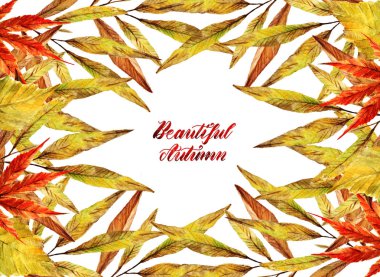 Suluboya illüstrasyon. Güzel sonbahar, farklı sonbahar yaprakları. Senin için kartpostal, set, el yapımı. Arka plan beyaz