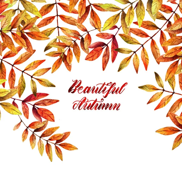 Illustration Aquarelle Bel Automne Feuilles Frêne Montagne Carte Postale Pour — Photo