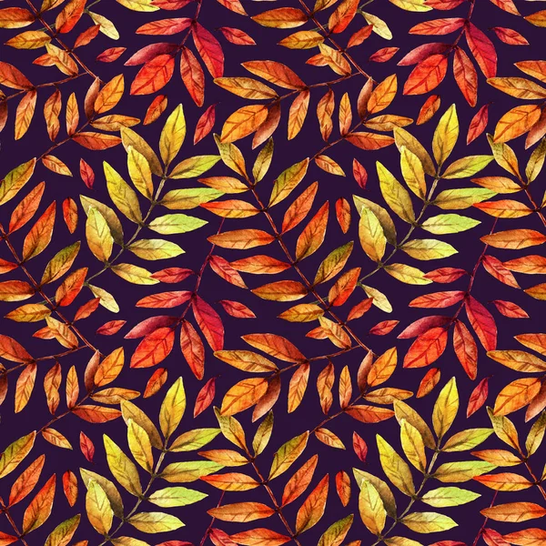 Aquarell Illustration Schöner Herbst Blätter Der Eberesche Postkarte Für Sie — Stockfoto