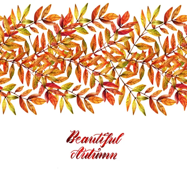 Ilustracja Akwarela Piękna Jesień Liście Popiołu Górskiego Ręcznie Zestaw Pocztówka — Zdjęcie stockowe