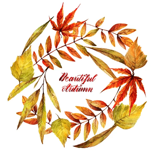 水彩画 美丽的秋天 不同的秋天树叶 手工制作 明信片给你的 背景为白色 — 图库照片