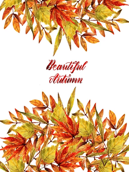 Aquarell Illustration Schöner Herbst Verschiedene Herbstblätter Handgemacht Gesetzt Postkarte Für — Stockfoto