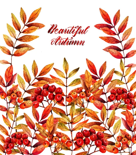 Ilustrace Akvarelů Podzim Listy Bobule Horského Popela Pohlednice Pro Tebe — Stock fotografie