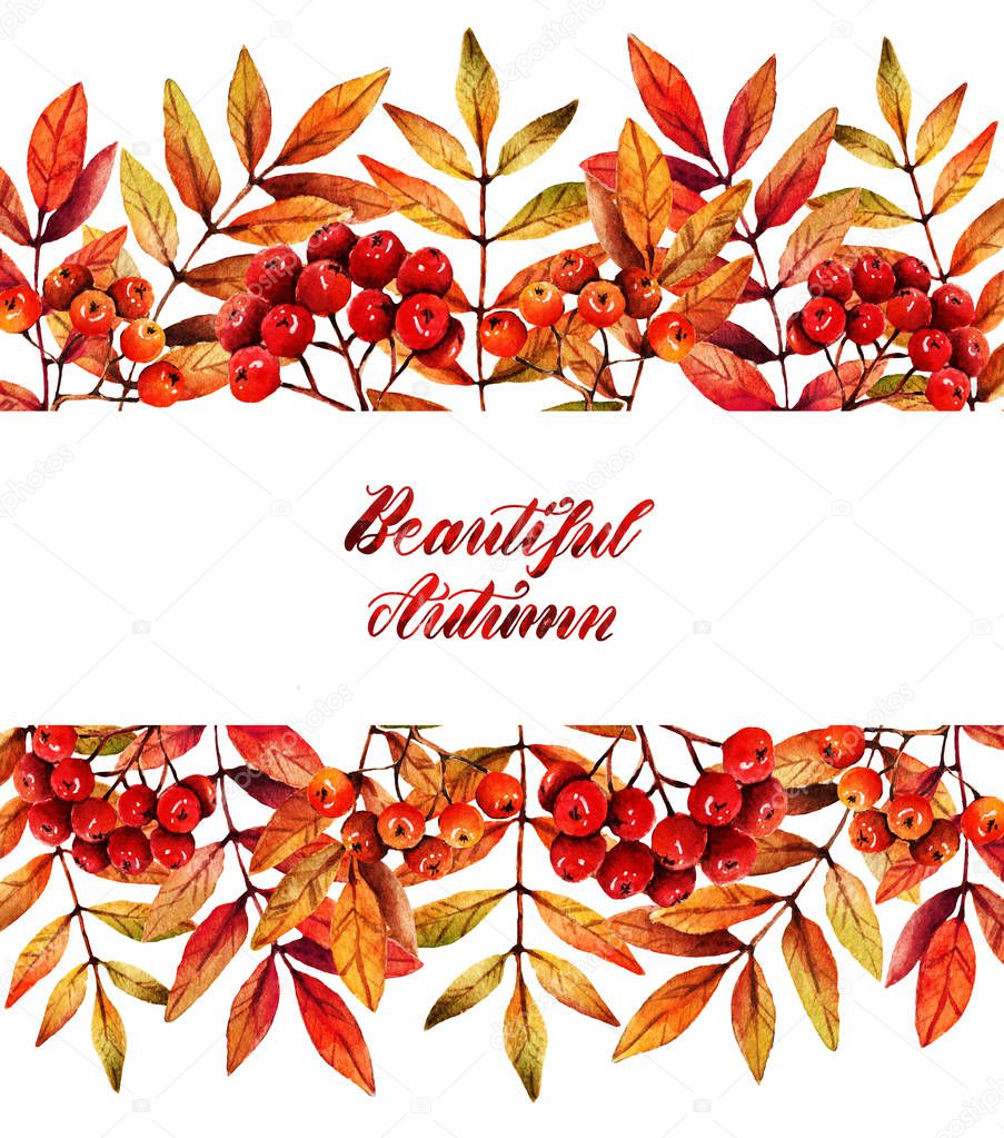 Watercolor illustration. Autumn, leaves and berries of mountain ash. Postcard for you. Background white. handmade, set