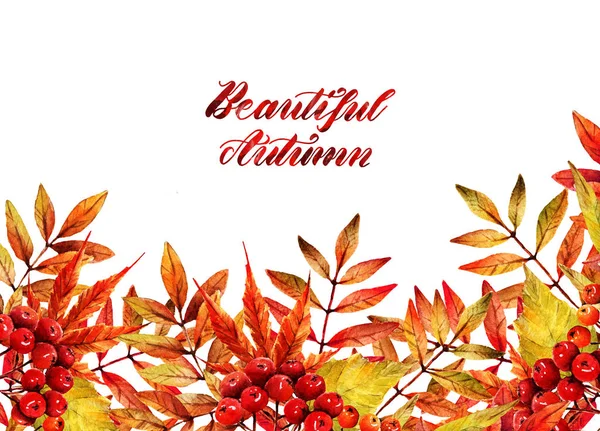 Ilustração Aquarela Outono Folhas Outono Diferentes Feito Mão Fundo Branco — Fotografia de Stock