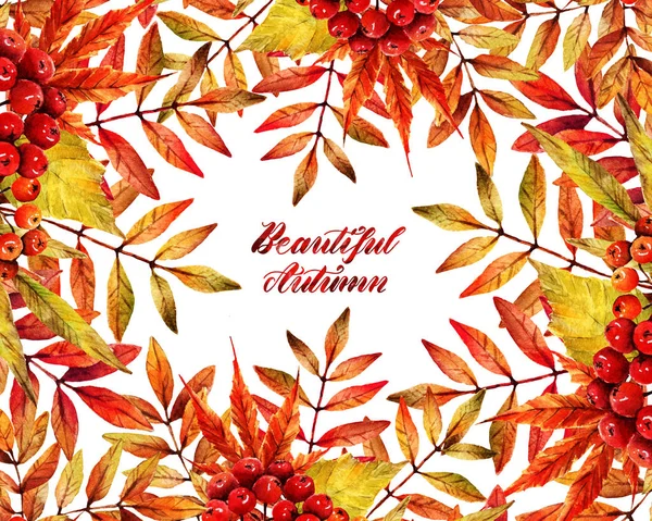 Aquarell Illustration Herbst Verschiedene Herbstblätter Hintergrund Weiß Postkarte Für Sie — Stockfoto