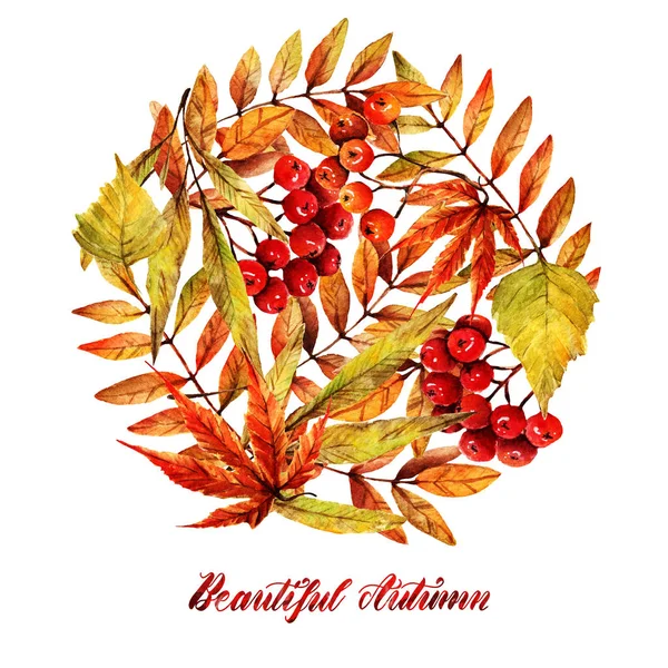 Watercolor Illustration Autumn Different Autumn Leaves Handmade Postcard You Set — Stock Photo, Image