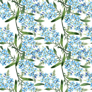 Myosotis, suluboya çizimi, bahar çiçekleri, saplar, yapraklar, çiçekler, el yapımı, senin için kart, kusursuz desen, açık arkaplan