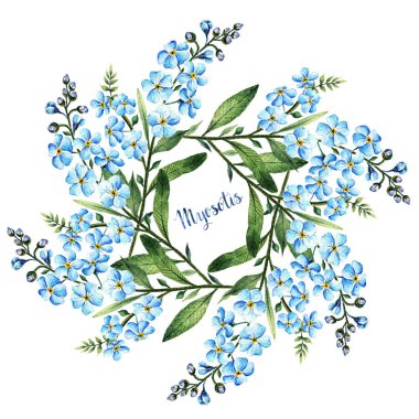 Suluboya illüstrasyon, myosotis, yaprak, çiçek, kart, el yapımı, bahar çiçekleri, çelenk.
