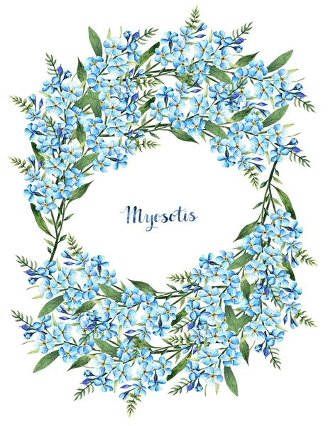 Myosotis Suluboya Illüstrasyon Çiçekler Yapraklar Saplar Yapımı Bahar Çiçekleri Senin — Stok fotoğraf