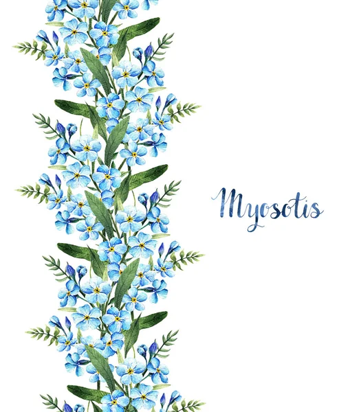 Myosotis Suluboya Çizimi Saplar Yapraklar Çiçekler Yapımı Senin Için Kart — Stok fotoğraf