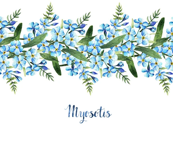 Myosotis Suluboya Çizimi Saplar Yapraklar Çiçekler Yapımı Bahar Çiçekleri Sizin — Stok fotoğraf