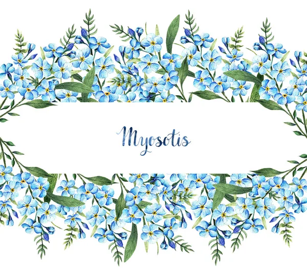 Myosotis Aquarell Illustration Frühlingsblumen Stängel Blätter Blumen Handgemacht Karte Für — Stockfoto