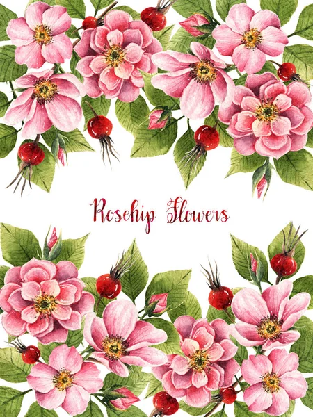 Rózsaszín Virágok Akvarell Illusztráció Levelek Virágok Bimbók Bogyók Kártya Számára — Stock Fotó