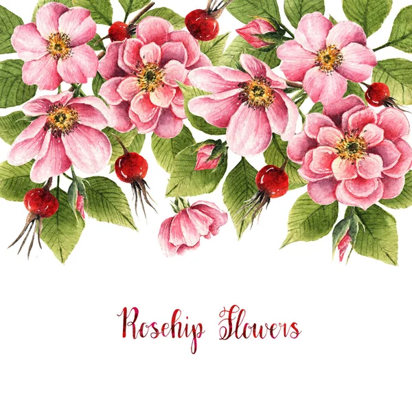 Rozenbottel Bloemen Aquarel Illustratie Bladeren Bloemen Knoppen Bessen Handgemaakt Kaart — Stockfoto