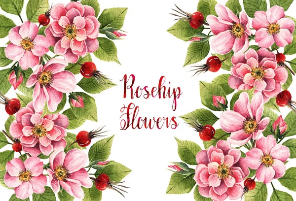 Rosehip flowers, watercolor illustration, flowers, leaves, buds, berries,handmade,spring flowers,card for you
