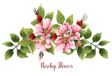 Rosehip flowers, watercolor illustration,spring flowers, leaves, buds, flowers, berries,card for you,handmade