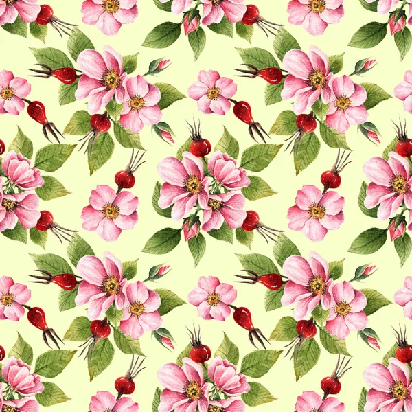 Illust Aquarela Flores Rosa Mosqueta Flores Folhas Botões Bagas Feito — Fotografia de Stock