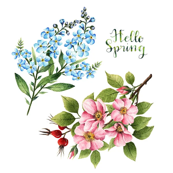 Kwiaty Róży Myosotis Ilustracja Akwareli Hello Spring Liście Pąki Kwiaty — Zdjęcie stockowe