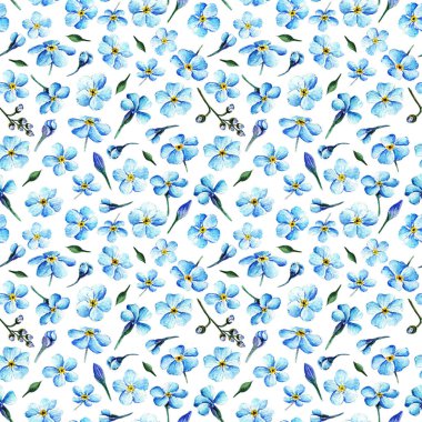 Myosotis, suluboya çizimi, bahar çiçekleri, senin için kart, el yapımı, pürüzsüz desen, açık arkaplan