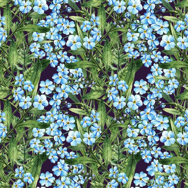 Myosotis Aquarell Illustration Frühlingsblumen Stängel Blätter Blumen Karte Für Sie — Stockfoto