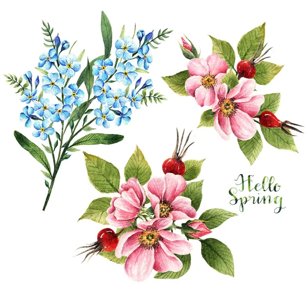 Fiori Rosa Canina Myosotis Illustrazione Acquerello Hello Spring Foglie Gemme — Foto Stock
