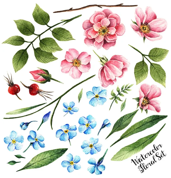 Rosehip Flowers Myosotis Watercolor Illustration Hello Spring Leaves Buds Flowers — Stock Photo, Image