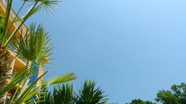 Arka plan tropikal çiçek yaprakları