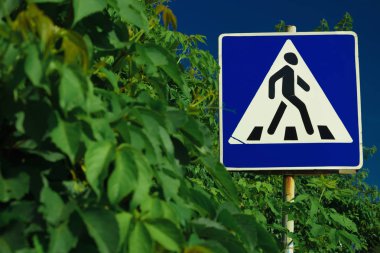 Yol işareti yaya geçidi yol yeşil yaprakları