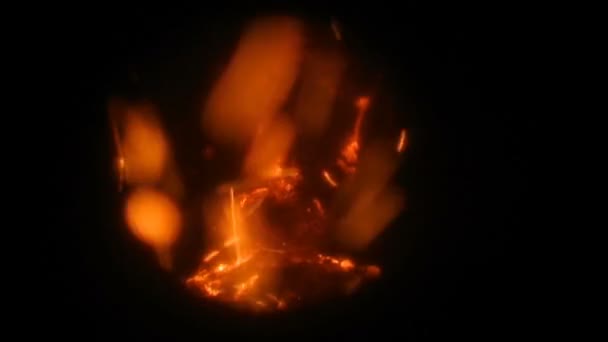 Brûlures de graines dans l'enlumineur de la crème 