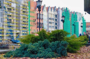 Avrupa, Gdansk eski kısmında renkli binalar