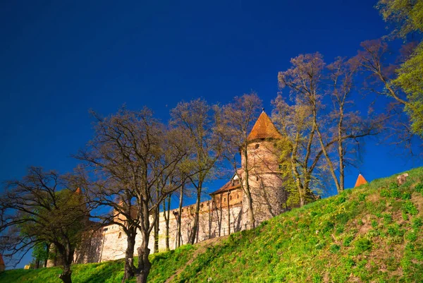 Castelo de cavaleiros teutônicos góticos ao lado do céu azul e árvores Imagens Royalty-Free
