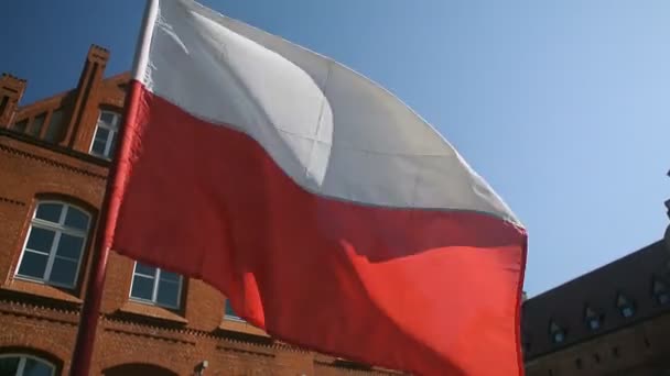 Πολωνική σημαία κοντά που χαιρετάει τον άνεμο — Αρχείο Βίντεο